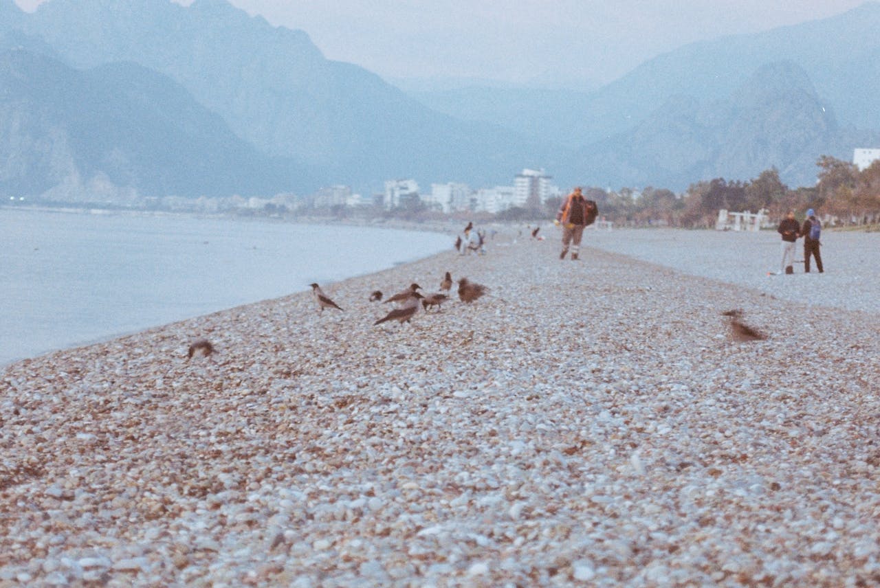 People on the Beach